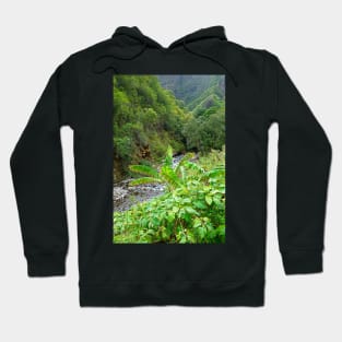 Iao Valley State Monument Study 10 Hoodie